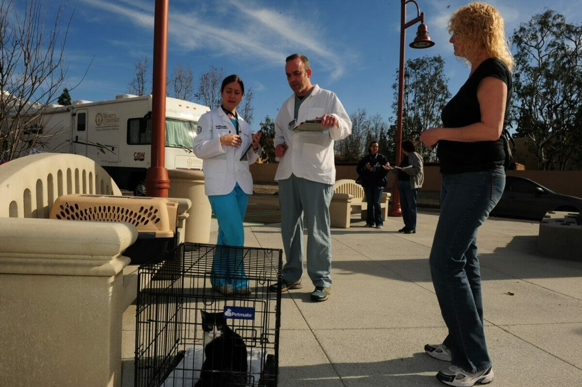 A group of people standing next to a cat in a cage.