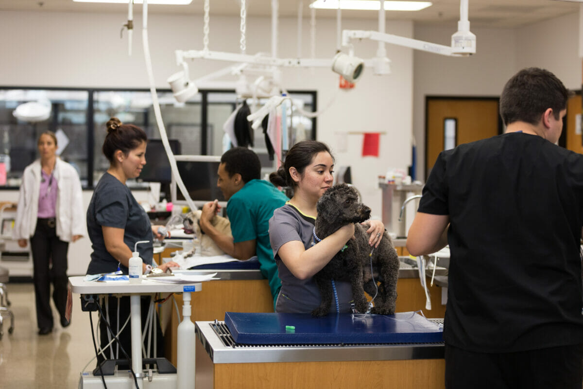 A group of people in a vet clinic with a dog.