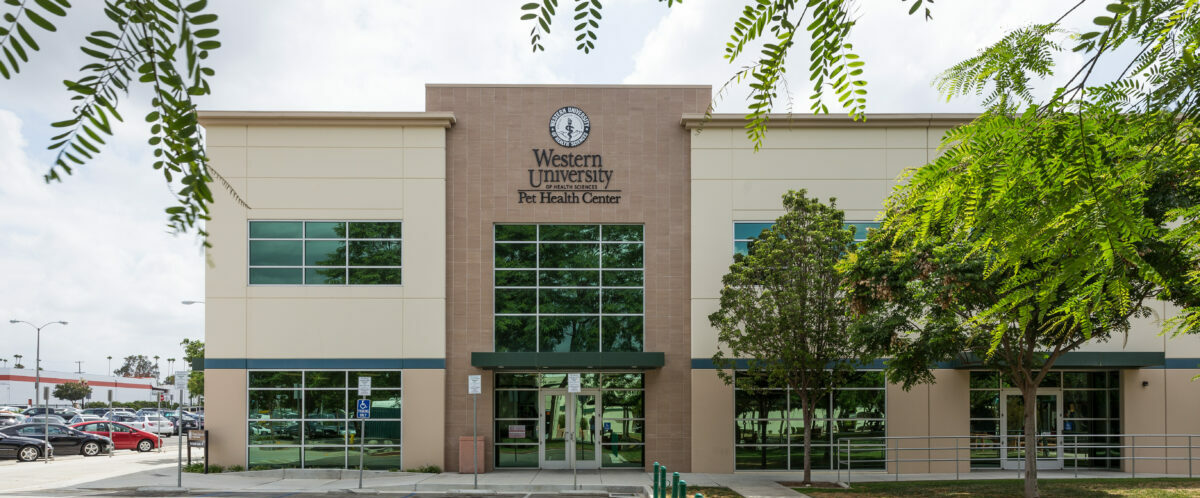 A building with a parking lot and trees.