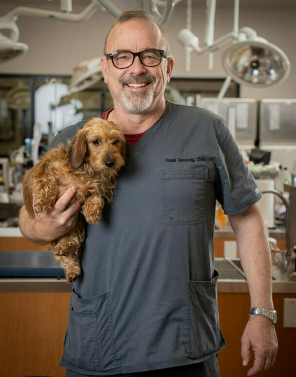Veterinarian Frank Bossong holding a dog in the PHC with medical equipment in the background.