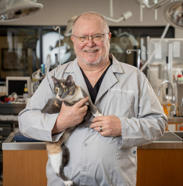 Associate Dean of Clinical Services, Dr. David Clark, holding a cat in the WesternU PHC with medical equipment in the background