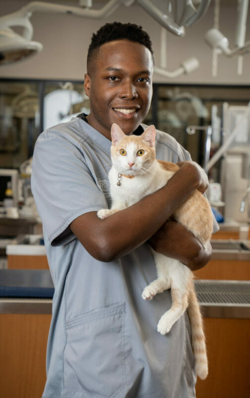 Animal Care Assistant Devin Moore holding a cat in the PHC with medical equipment in the background