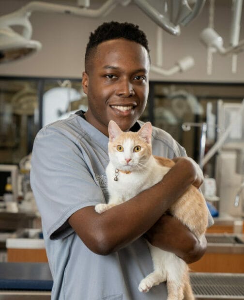 Animal Care Assistant Devin Moore holding a cat in the PHC with medical equipment in the background