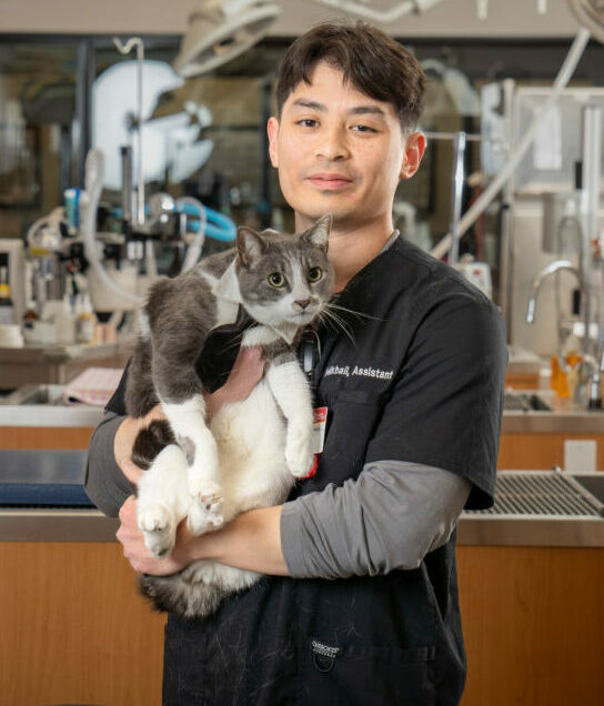 Animal Care Assistant Mikhail Drilon holding a cat in the WesternU PHC with people and medical equipment in the background