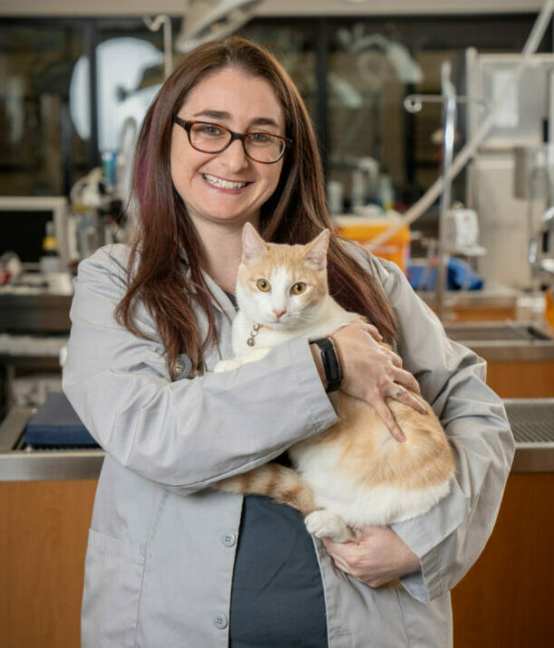 Veterinarian Michelle Greenberg holding a cat in the PHC with medical equipment in the background.
