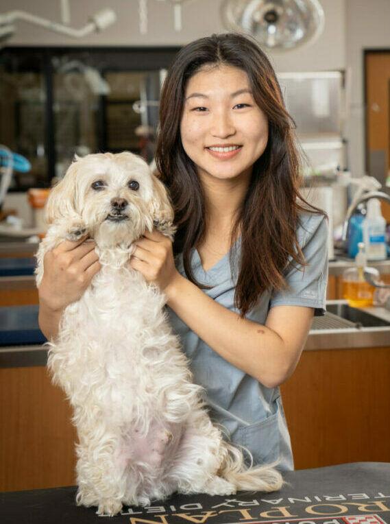 Animal Care Assistant Hilary Lee holding her pet dog in the PHC with medical equipment and staff in the background.