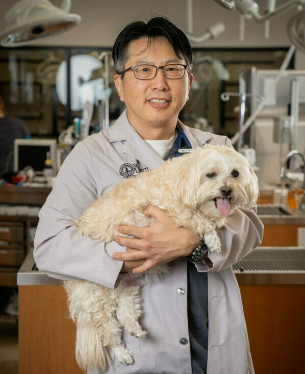 Veterinarian Young Joo Kim holding a dog in the PHC with medical equipment in the background.