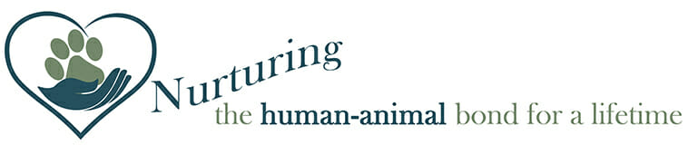 Nursing the lifelong bond between humans and animals.