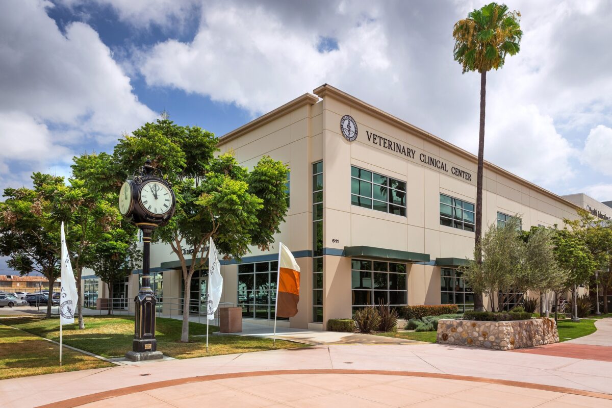 A clock tower building.