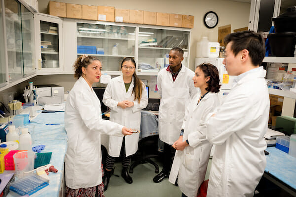 College of Pharmacy Associate Professor of Pharmaceutical Science Arezoo Campbell, PhD, left, leads a hudlle in the pharmacy lab with MSPS student Jenny Tran, to her right, MSMS student DaVon Marshall, CPP chemistry student Abigail Trujillo and graduate volunteer Alex Kim.