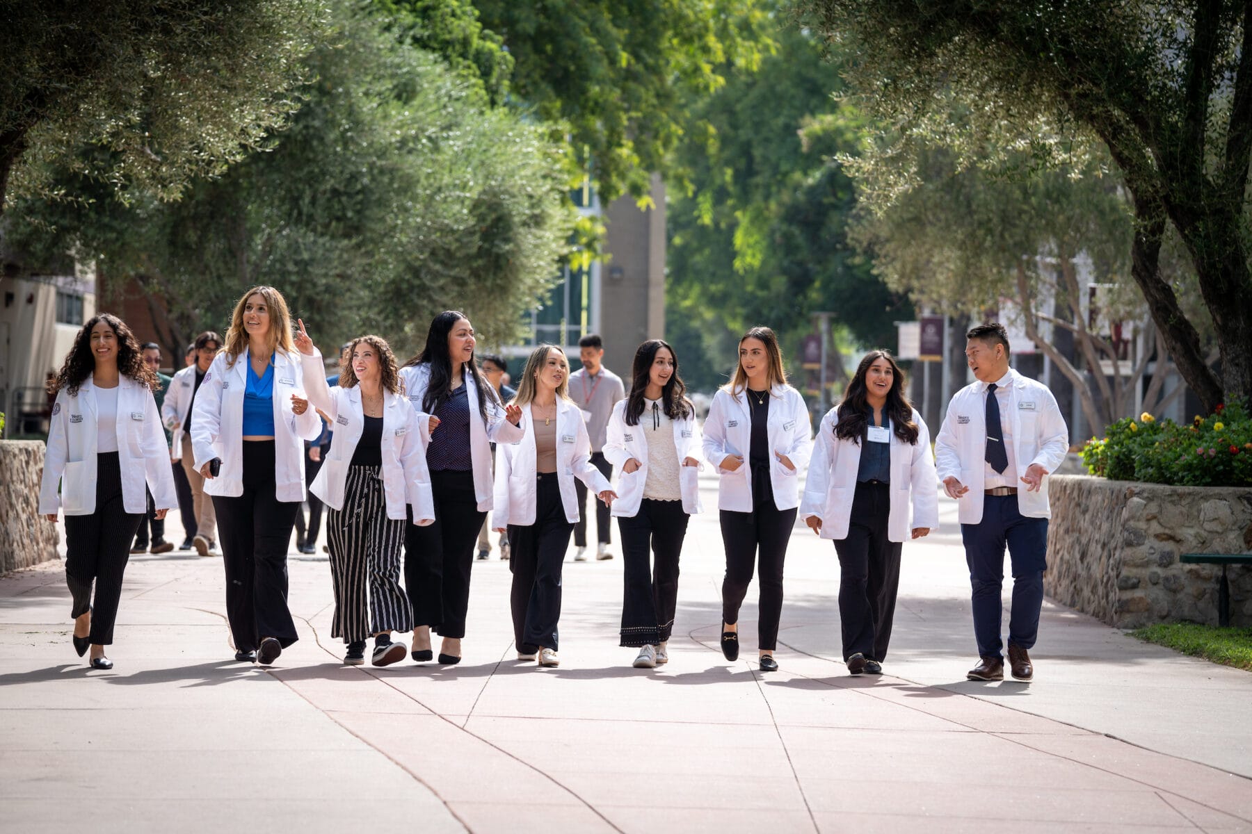 A group of individuals wearing white coats walks together on a tree-lined pathway.
