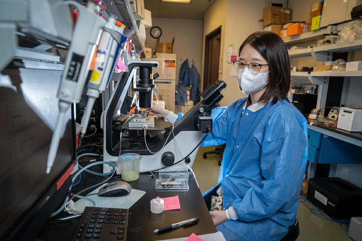 MSPS student Young Choi in the lab at WesternU.