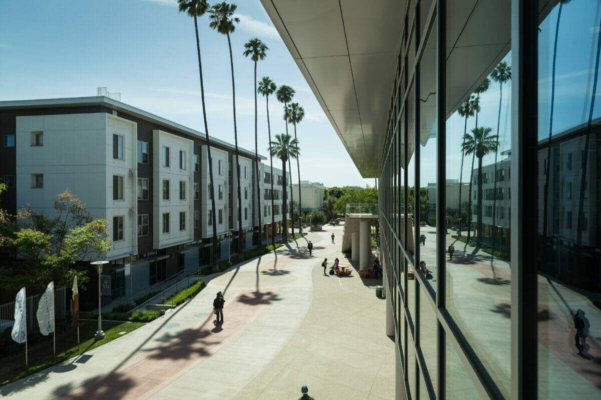 Two buildings, palm trees, and esplanade