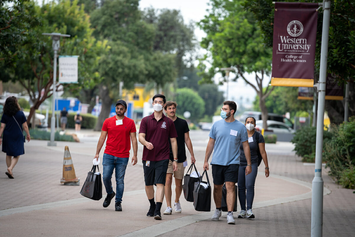 Incoming students walking on esplanade with campus guide