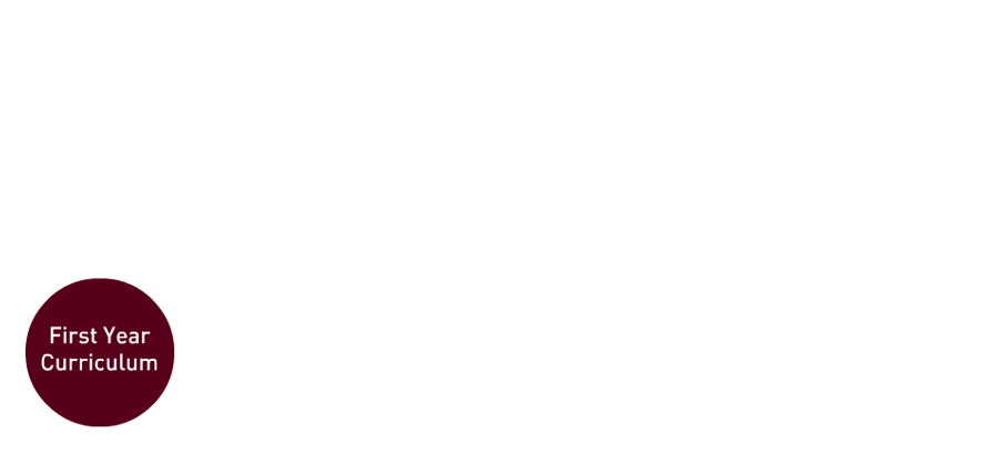 A maroon circle labeled "First Year Curriculum" on the left, with arrows leading sequentially to "Second Year," "Third Year," and "Fourth Year" circles, ending with "Graduate.