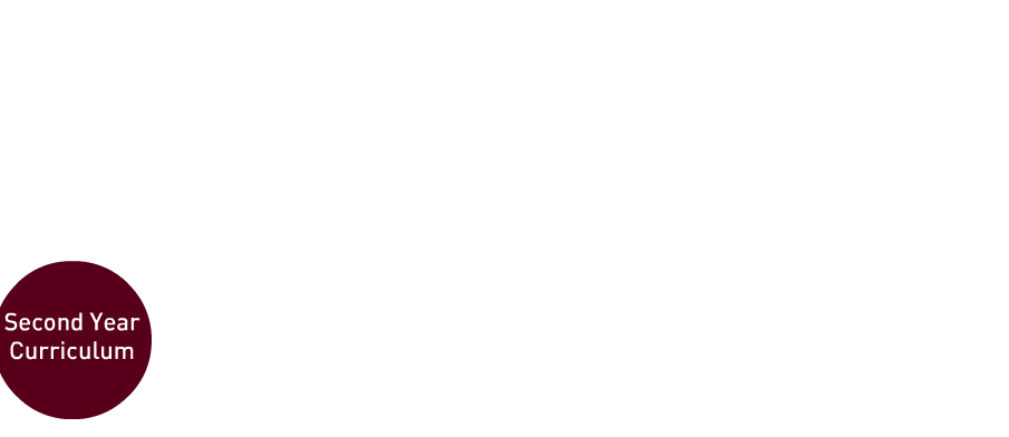 A flowchart with maroon circles and arrows showing the progression: Second Year Curriculum, Capstone, Upper-Level Electives, Experiential Elective, and Degree.