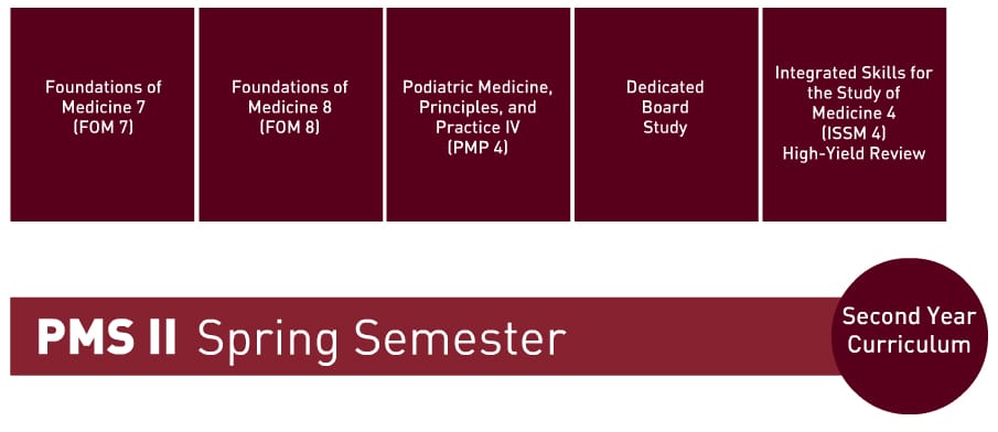 Diagram showing the PMS II Spring Semester curriculum for second-year students, listing five courses, including Foundations of Medicine and Board Study.