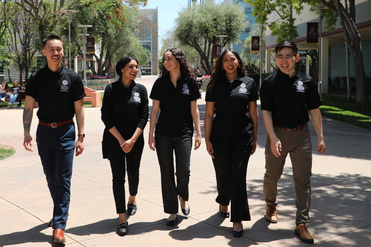 A group of five people wearing matching black shirts walks along a tree-lined path on a sunny day, smiling and talking.