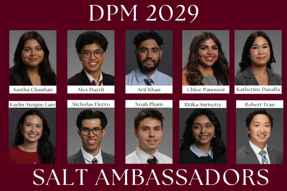 Ten individuals in formal attire are displayed in a grid layout with their names below each photo. The title above reads “DPM 2029,” and the bottom text reads “Salt Ambassadors.”.