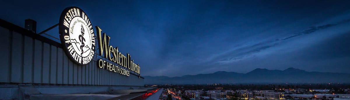 Rooftop view of