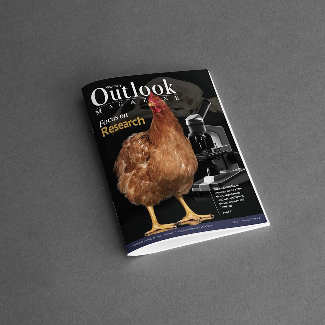 A veterinary magazine titled "Outlook" featuring a chicken, a microscope, and a partial image of a chicken's skull on the cover, with the headline "focus on Research.