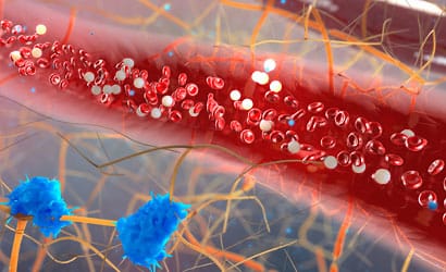 Illustration of a blood vessel showing red and white blood cells surrounded by nerve fibers and blue cells.