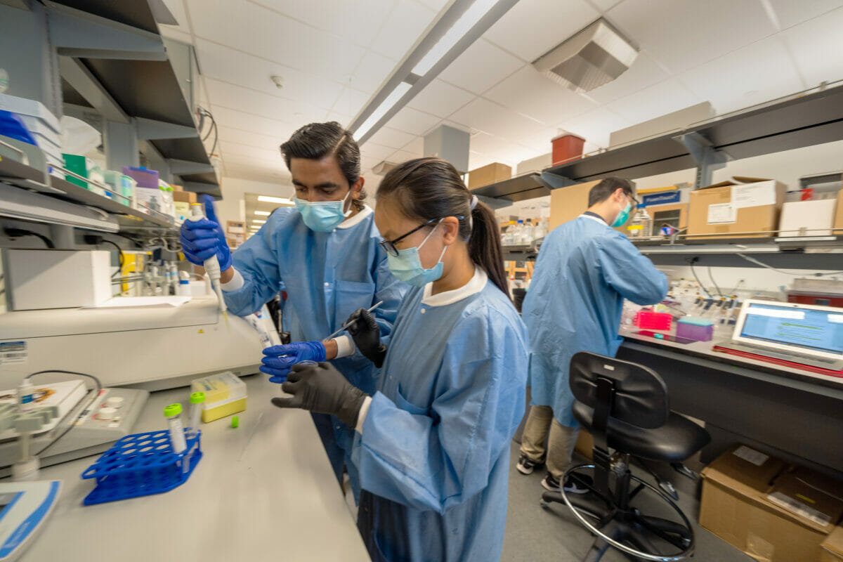 Two students working with pipette and vials