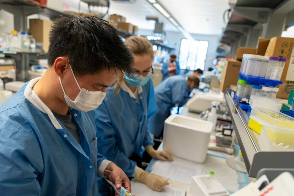 Two students working laboratory