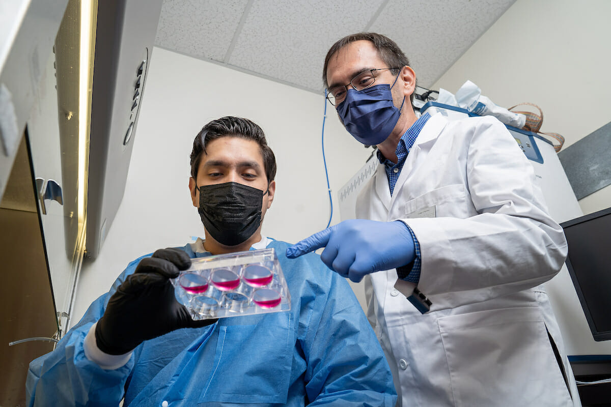 Dr. Sanchez has a clip and tags left on it.** MSPS Student Kevin Ventocilla works with his advisor, Assoiciate Professor of Pharmaceutical Sciences Dr. David Sanchez, to analyze the outcomes of an experiment that shows the how different HIV genes can manipulate an immune response against the virus. *Photographed for a COP story on research diversity.