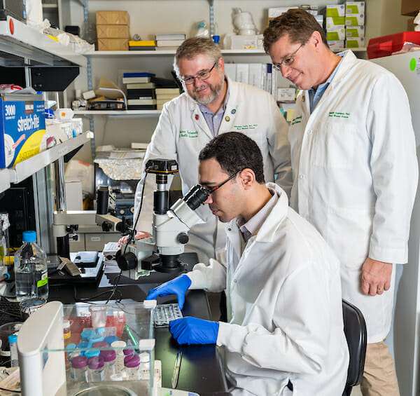 College Research Second-year COMP student Fady Guirguis was selected as a fellow for the NIH Medical Research Scholars Program (MRSP). He is the first WesternU student (and the second DO student in the country) to be selected for this program. COMP Assistant Professor Sebastian Fuchs, MD, PhD, left, and COMP Associate Professor Hendrik Szurmant, PhD, helped Fady prepare for the MRSP interview. Szurmant runs the Biomedical and Clinical Research Track (one of the Longitudinal Tracks) in COMP. The MRSP endeavors to be the premier training program for future clinician-scientists that advances health by inspiring careers in biomedical research. By engaging students in basic, clinical, or translational research investigations, a curriculum rich in didactics and professional development, and a robust mentorship and advising program, MRSP prepares its Scholars to become tomorrow’s leaders in medicine and biomedical research. (Jeff Malet, WesternU)