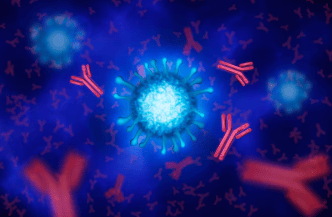 Illustration of a virus surrounded by antibodies, with a blue and purple background.