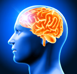 Illustration of a human head in profile with an orange brain highlighted against a blue background.