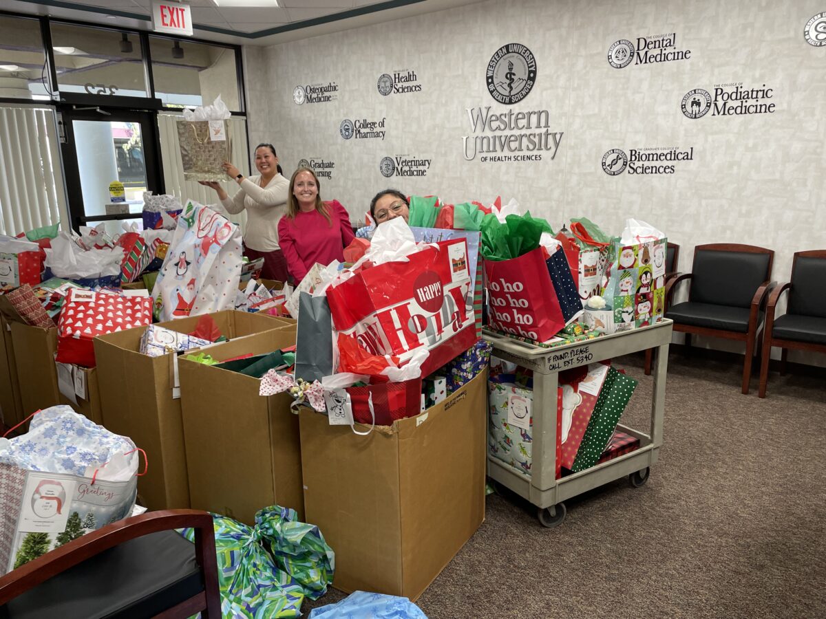 A group of people standing in a room with boxes of gifts ready to give to DCFS.