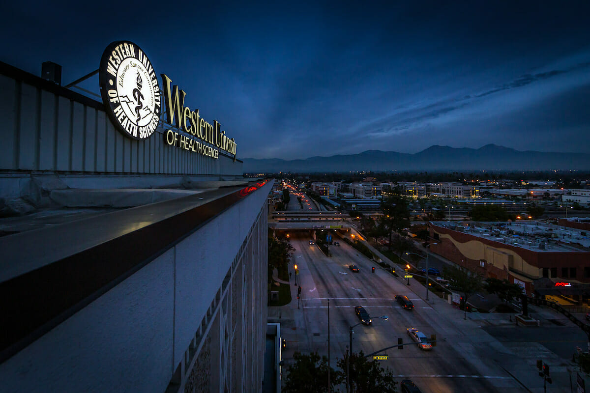 night view of four lane city street with Western University sign in foreground