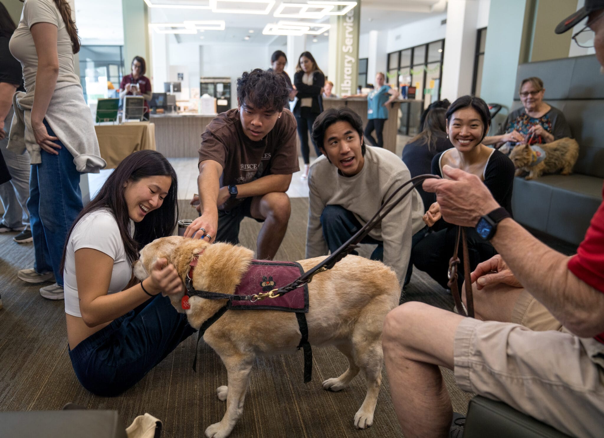 A group of people with a dog.