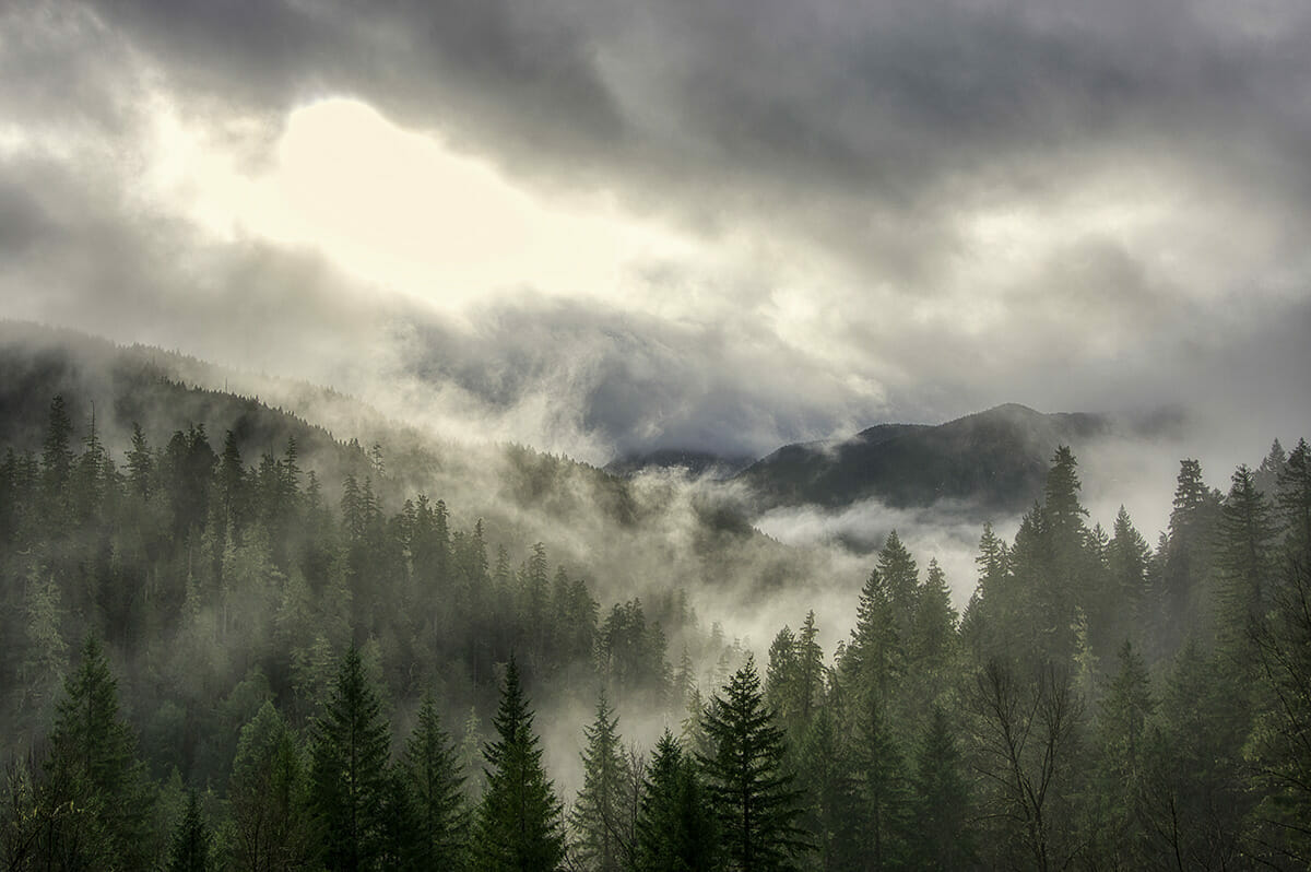 Mt. Sardine WesternU Oregon