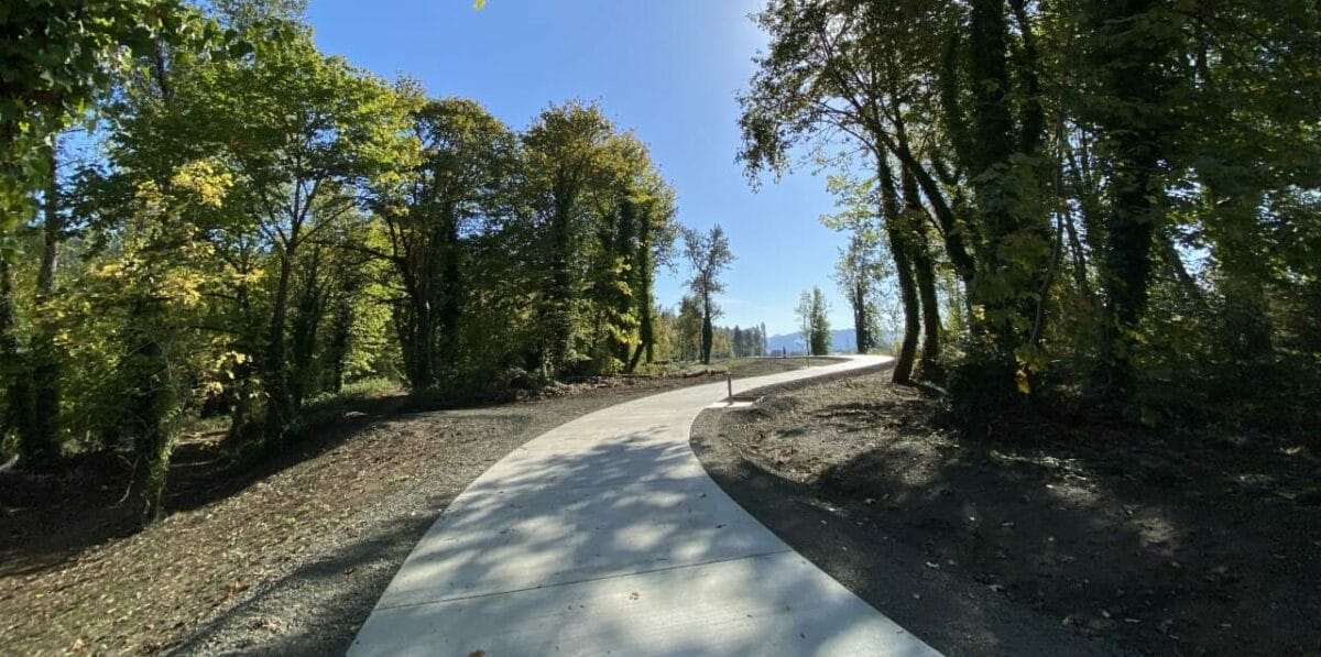 A paved pathway winds through a forested area under a clear blue sky with sunlight filtering through the trees.