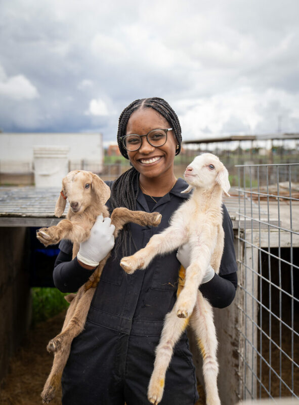 A woman holding two baby goats.