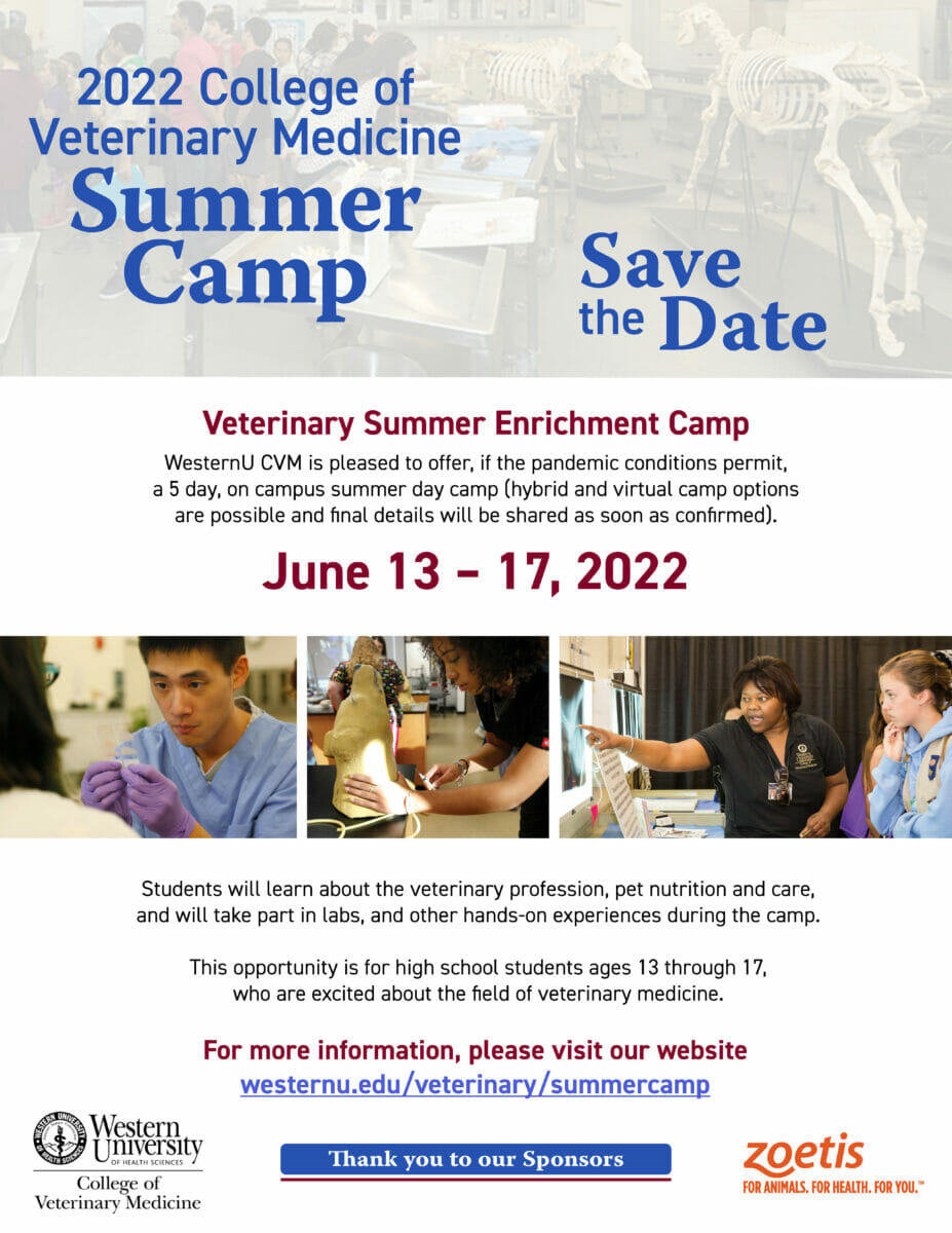 Summer Camp Veterinary Medicine Summer Program