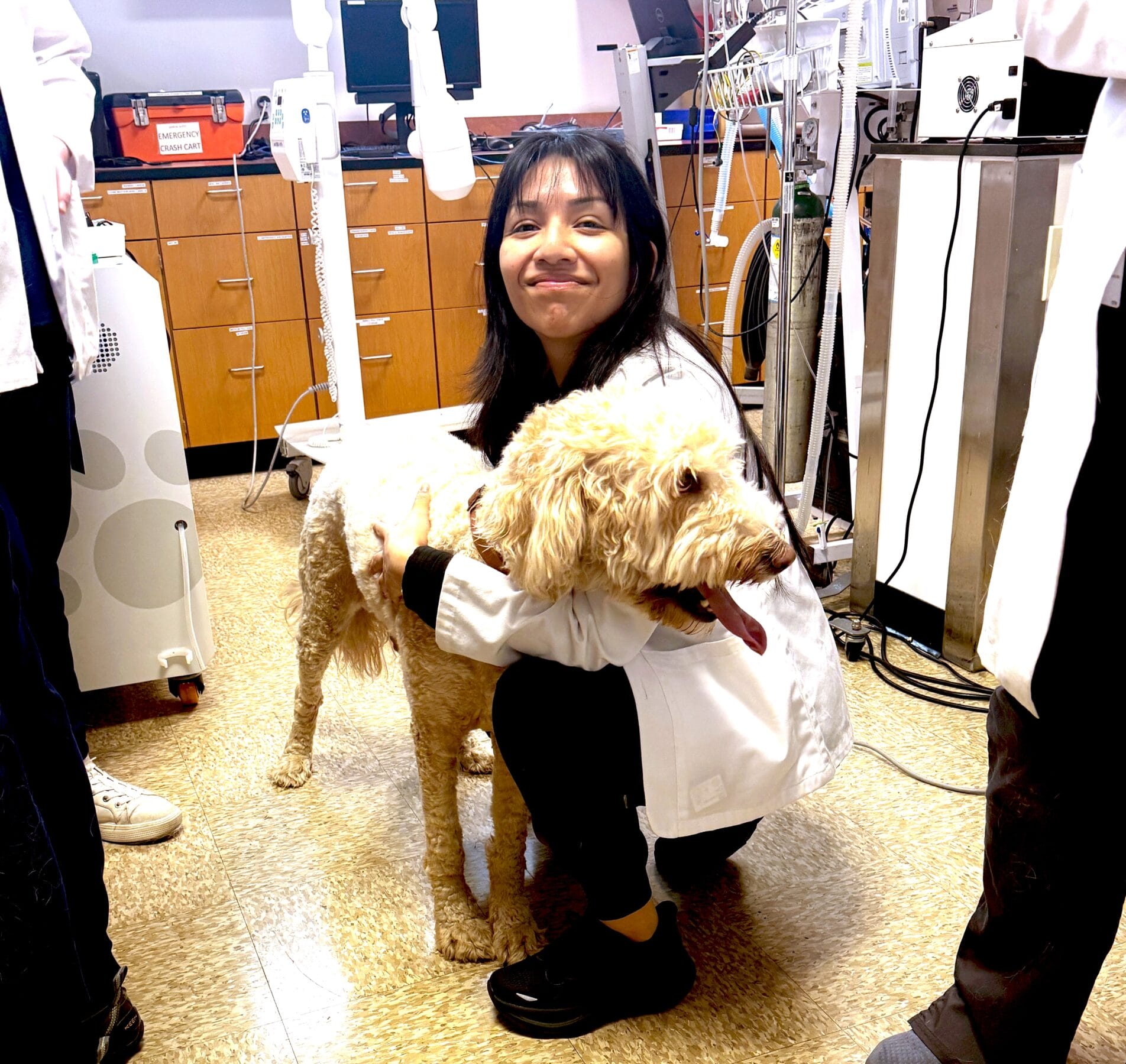 A woman in a lab coat crouches and hugs a large, curly-haired dog in a clinical or veterinary setting.