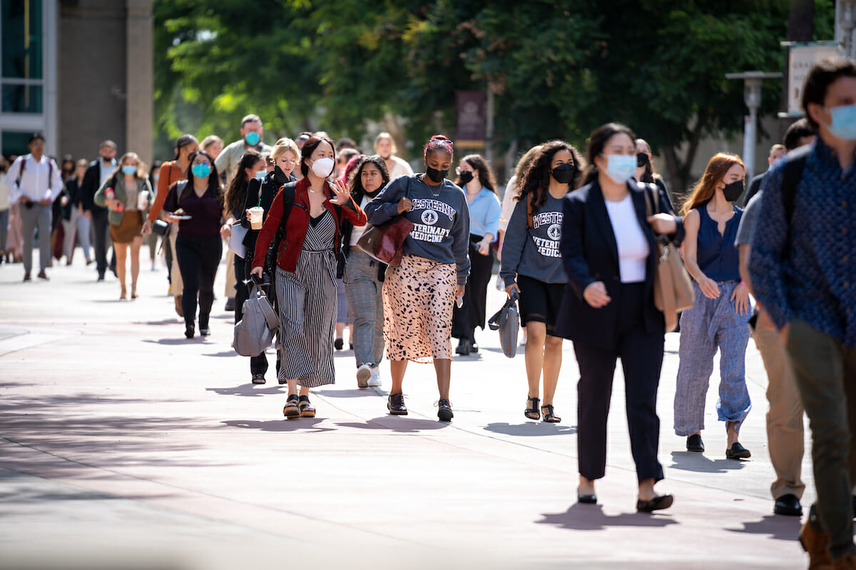 New CVM students walk the Esplanade.