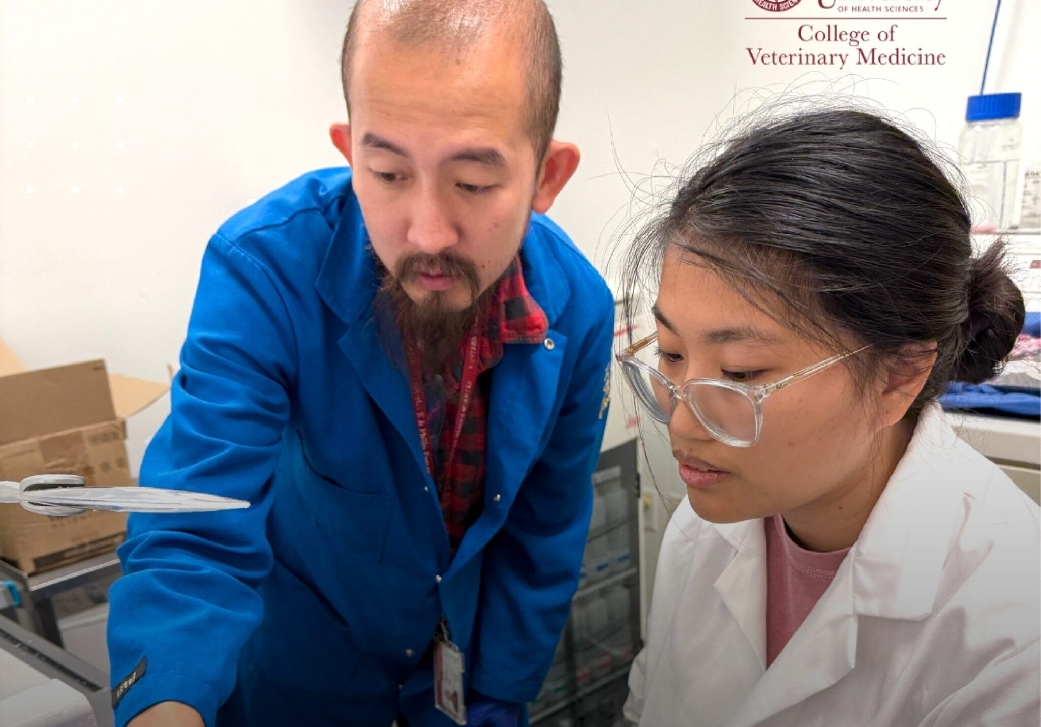 WesternU CVM researcher Theros Ng and a research mentee, both wearing lab coats work together in a laboratory; one gestures toward equipment while the other observes attentively. "College of Veterinary Medicine" text is visible in the background.