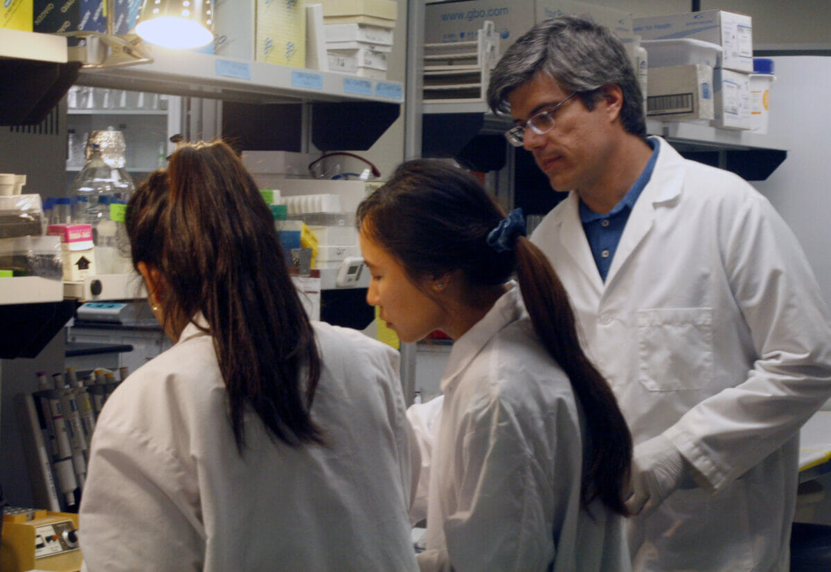 students working in lab for the summer research program