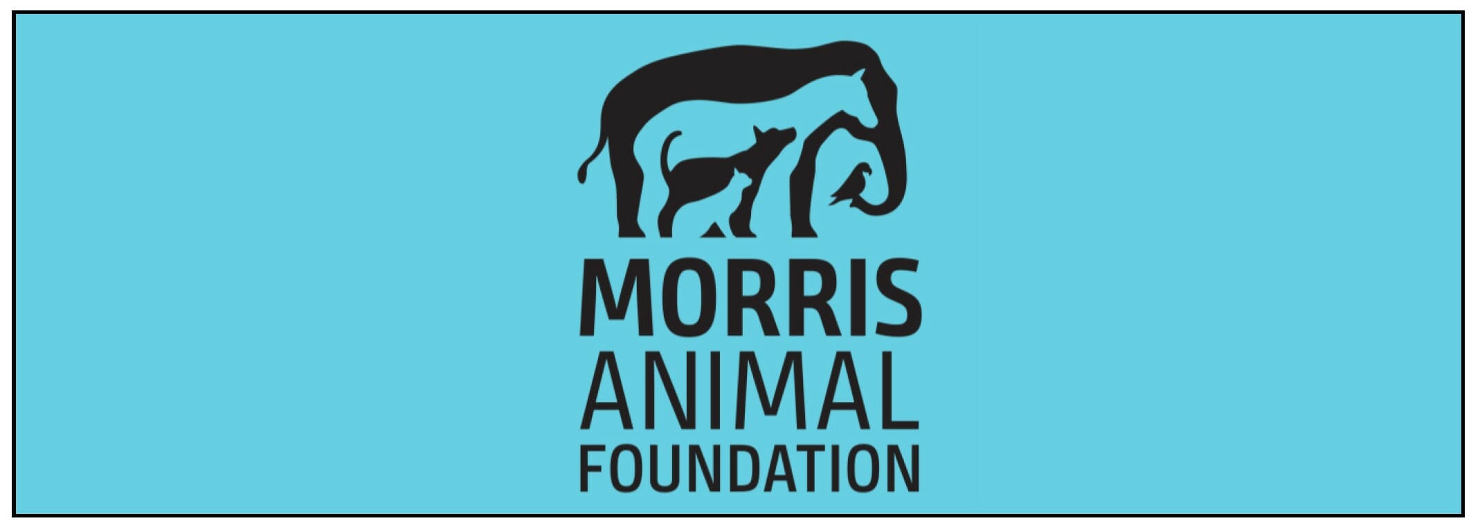 Morris Animal Foundation Application and Sponsor Page