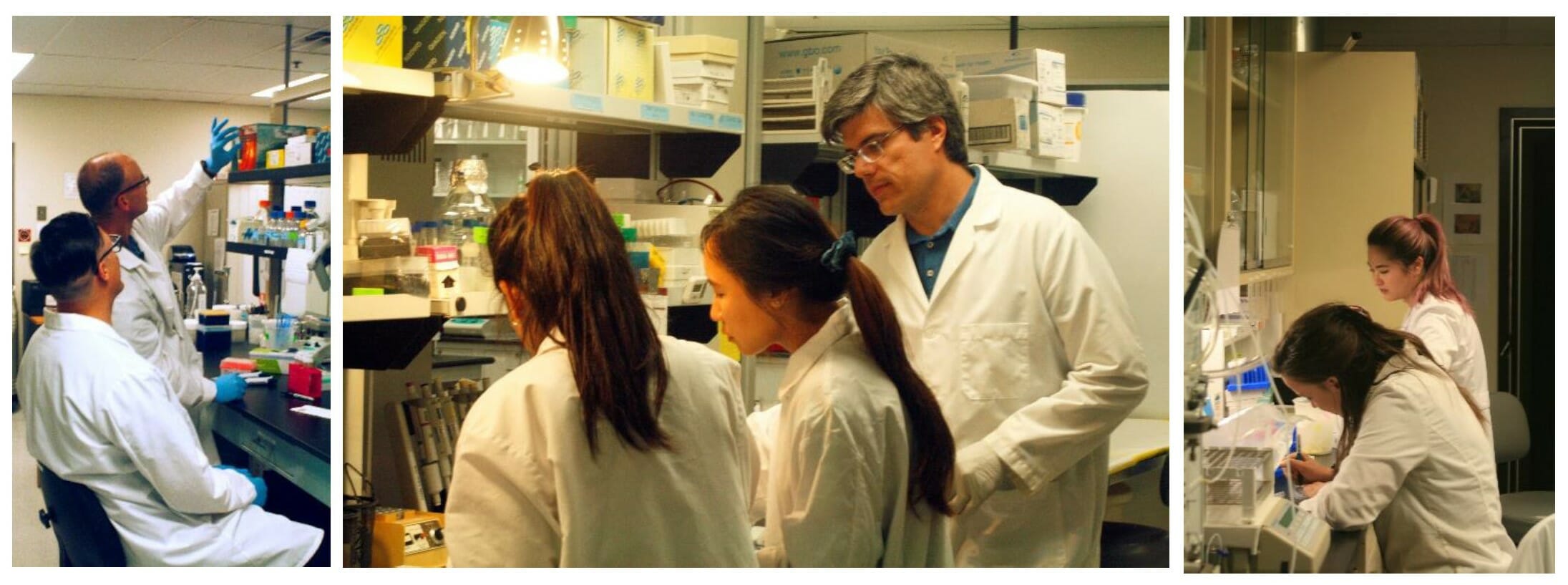 My Document Name RWC Students in Labs