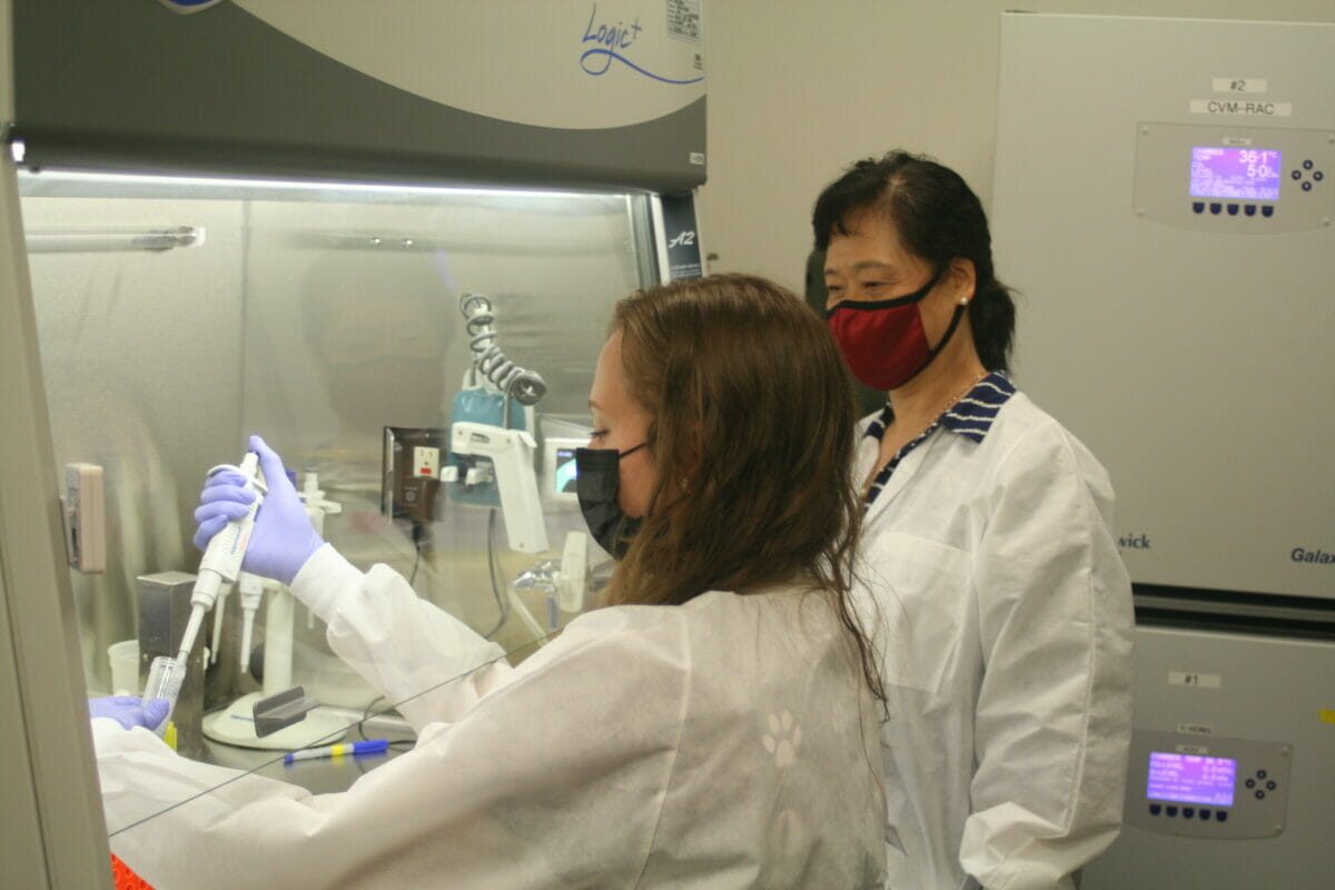 Students and faaculty working in lab with pipette and tubes