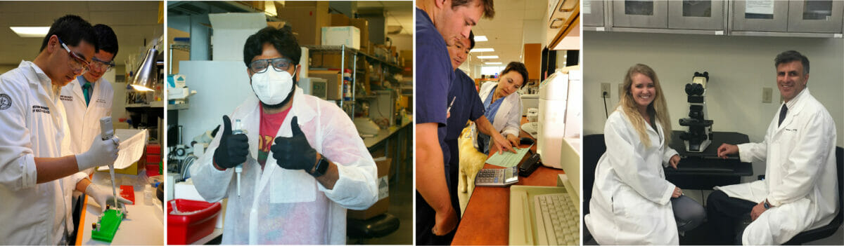 Students working in research lab with pipettes and microscopes