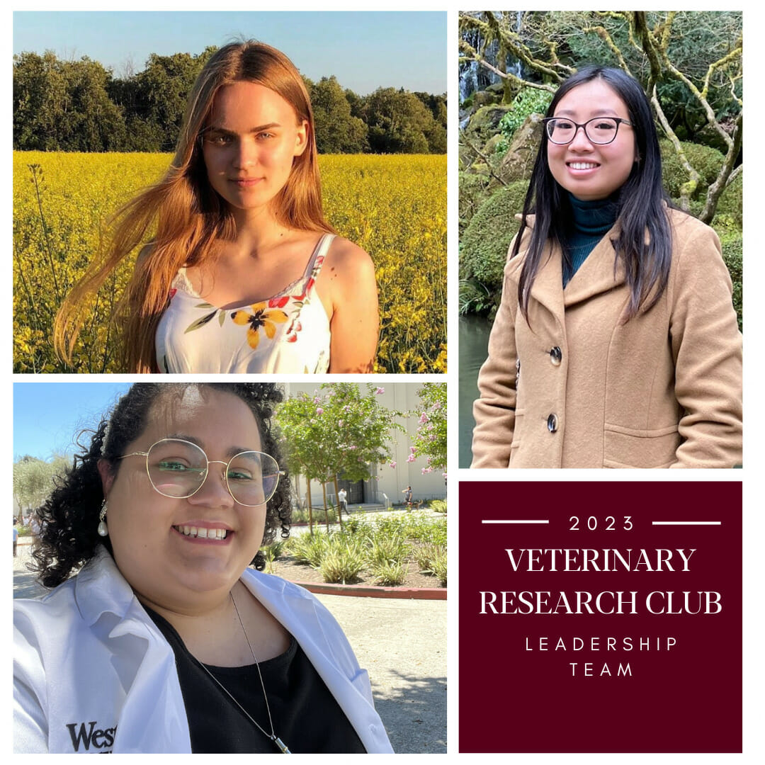 Veterinary research leadership team.
