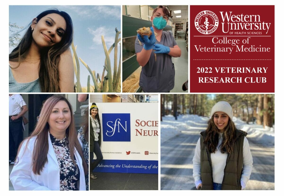 Graphic promoting WesternU College of Veterinary medicine 2022 Veterinary Research Club. Collage photos with one person per image