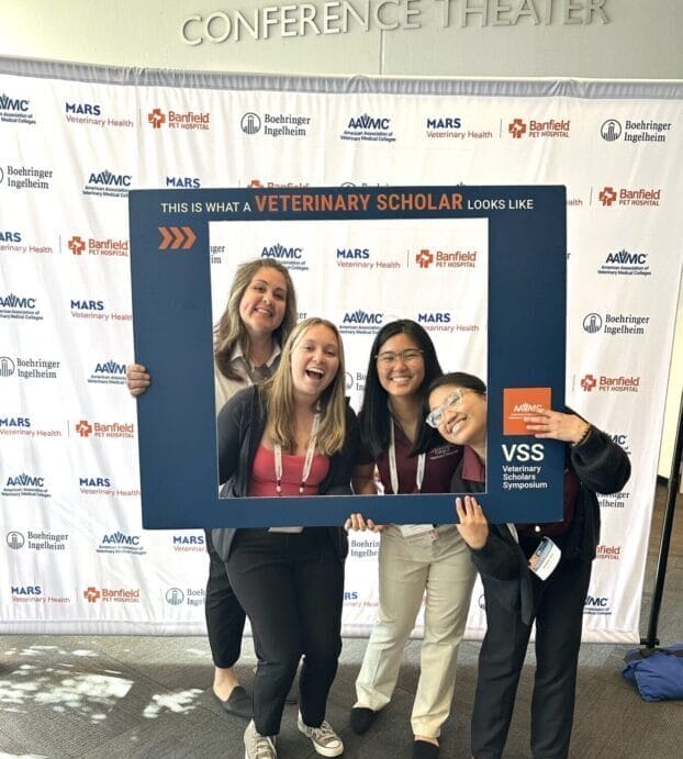Four women smile while posing together behind a large blue frame labeled "This is what a veterinary scholar looks like" at a veterinary symposium event.